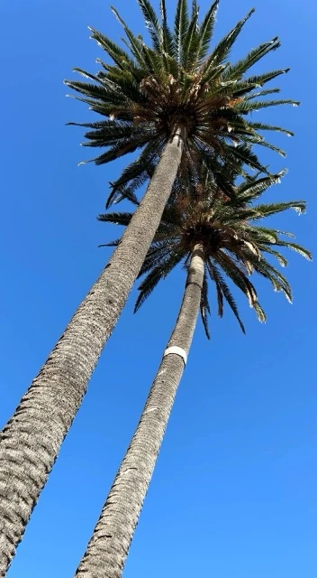 Valle Gran Rey
