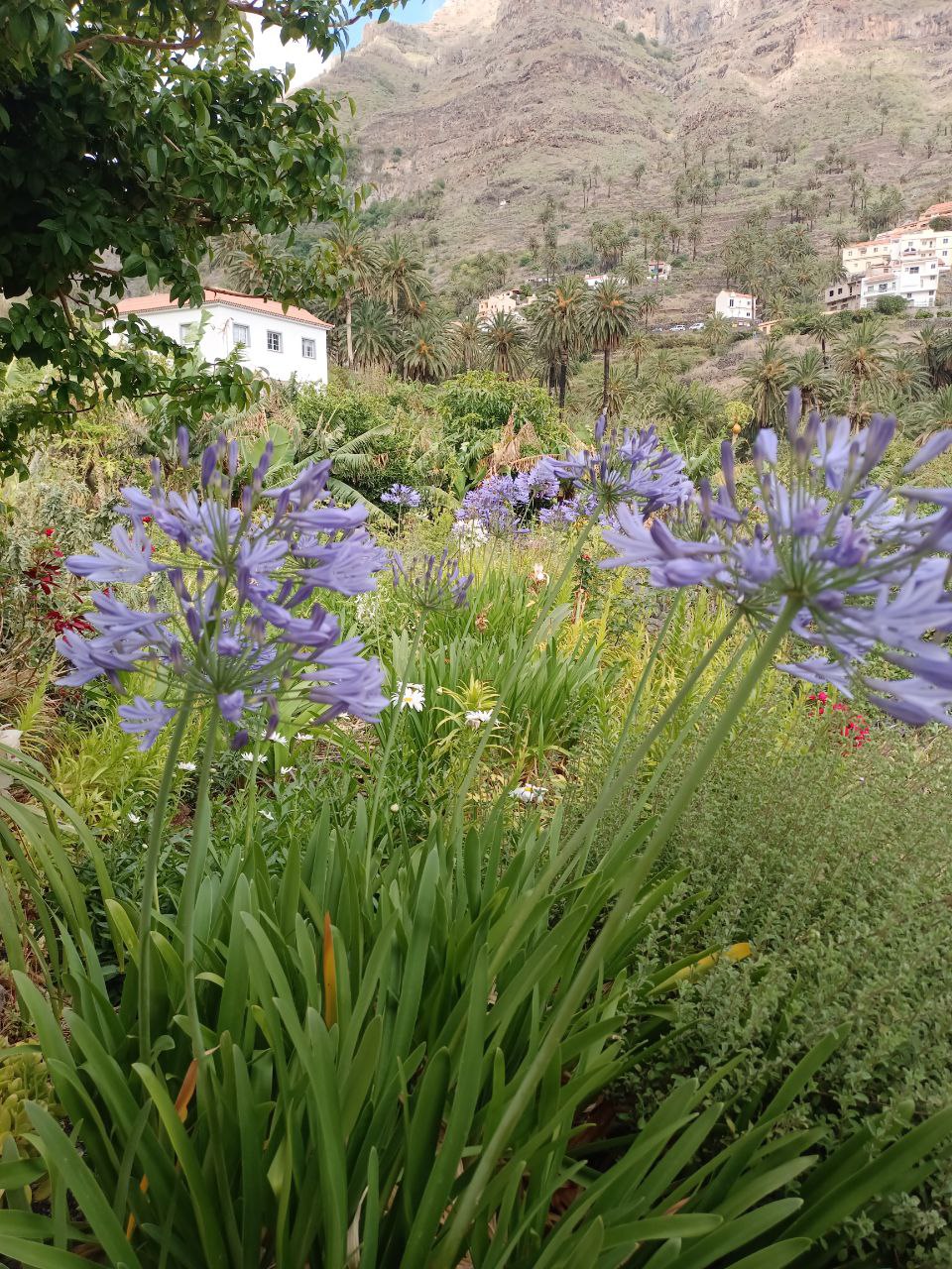 Jardín frente a casa